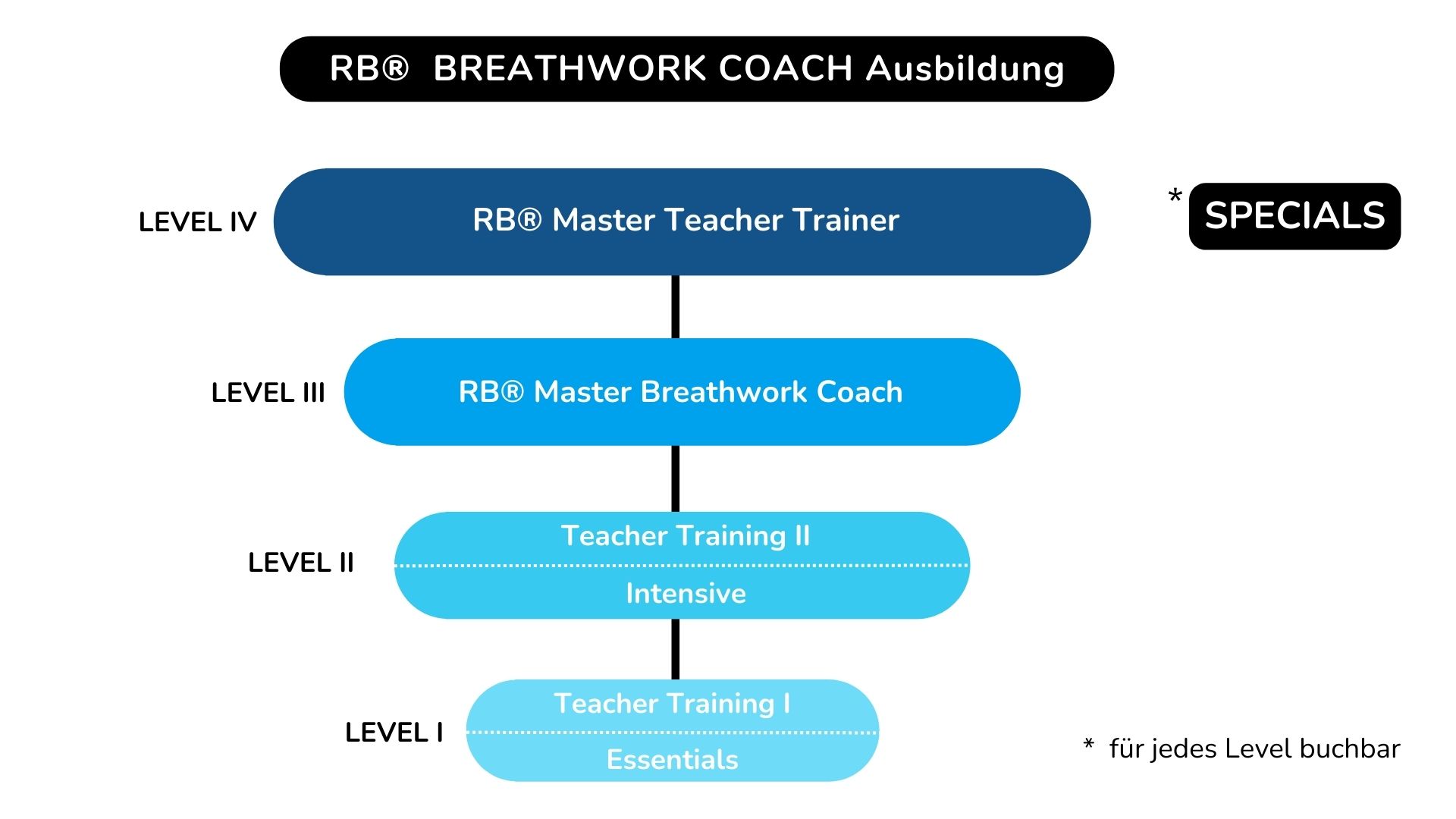 Restorative Breathing Breathwork Coach Ausbildungstruktur